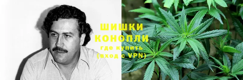 где можно купить   Бабаево  Бошки Шишки SATIVA & INDICA 